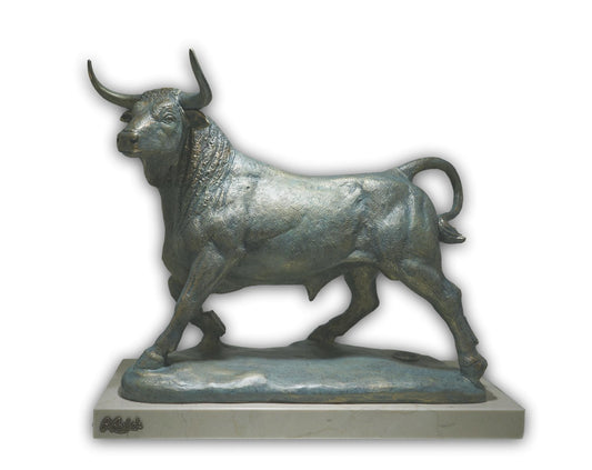 TORO BRAVO