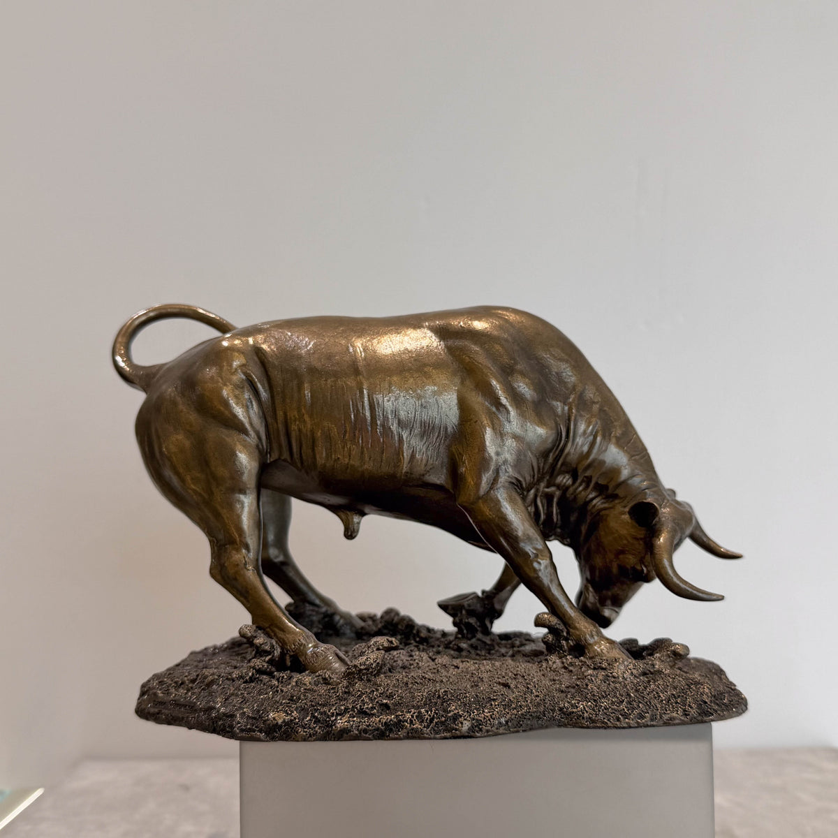 Toro embistiendo