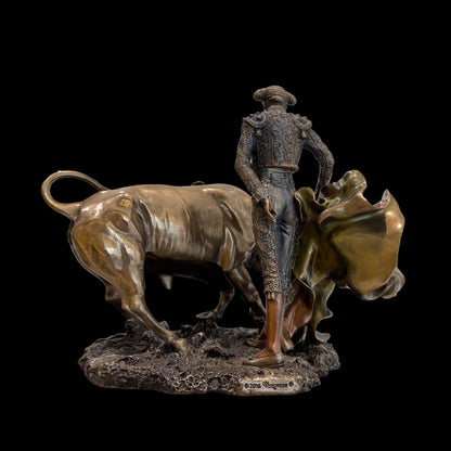 Pase de torero 1