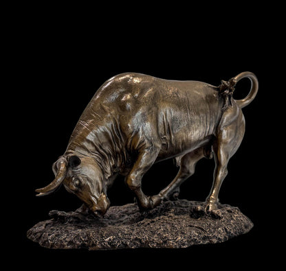 Toro embistiendo