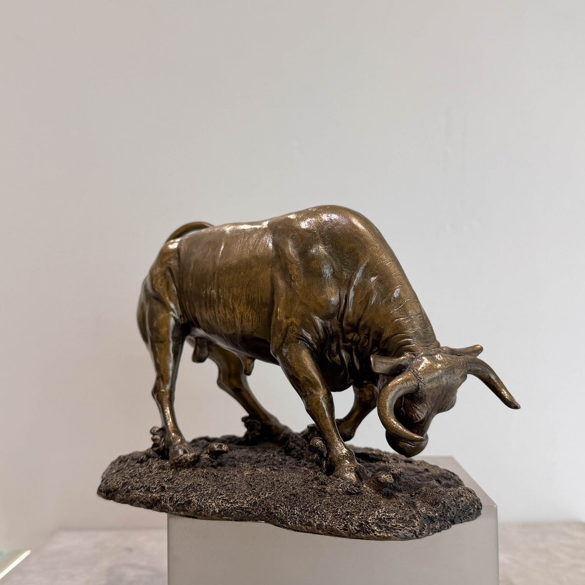 Toro embistiendo